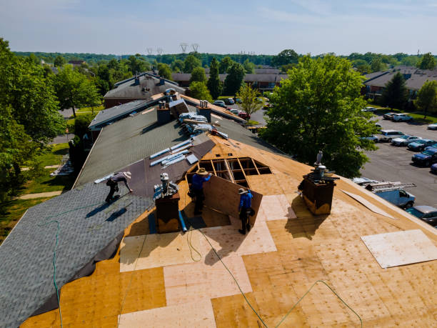 Best Metal Roofing Contractor  in Walthourville, GA