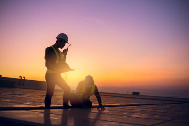 Best Sealant for Roof  in Walthourville, GA