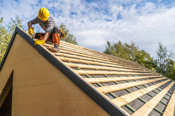Best Roof Gutter Cleaning  in Walthourville, GA