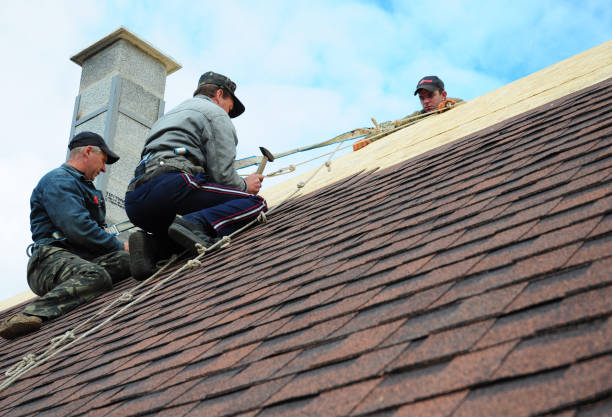 Best Slate Roofing Contractor  in Walthourville, GA